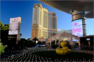 Kicz w Las Vegas
