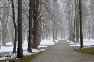 Park zdrojowy w Wysowej-Zdrój