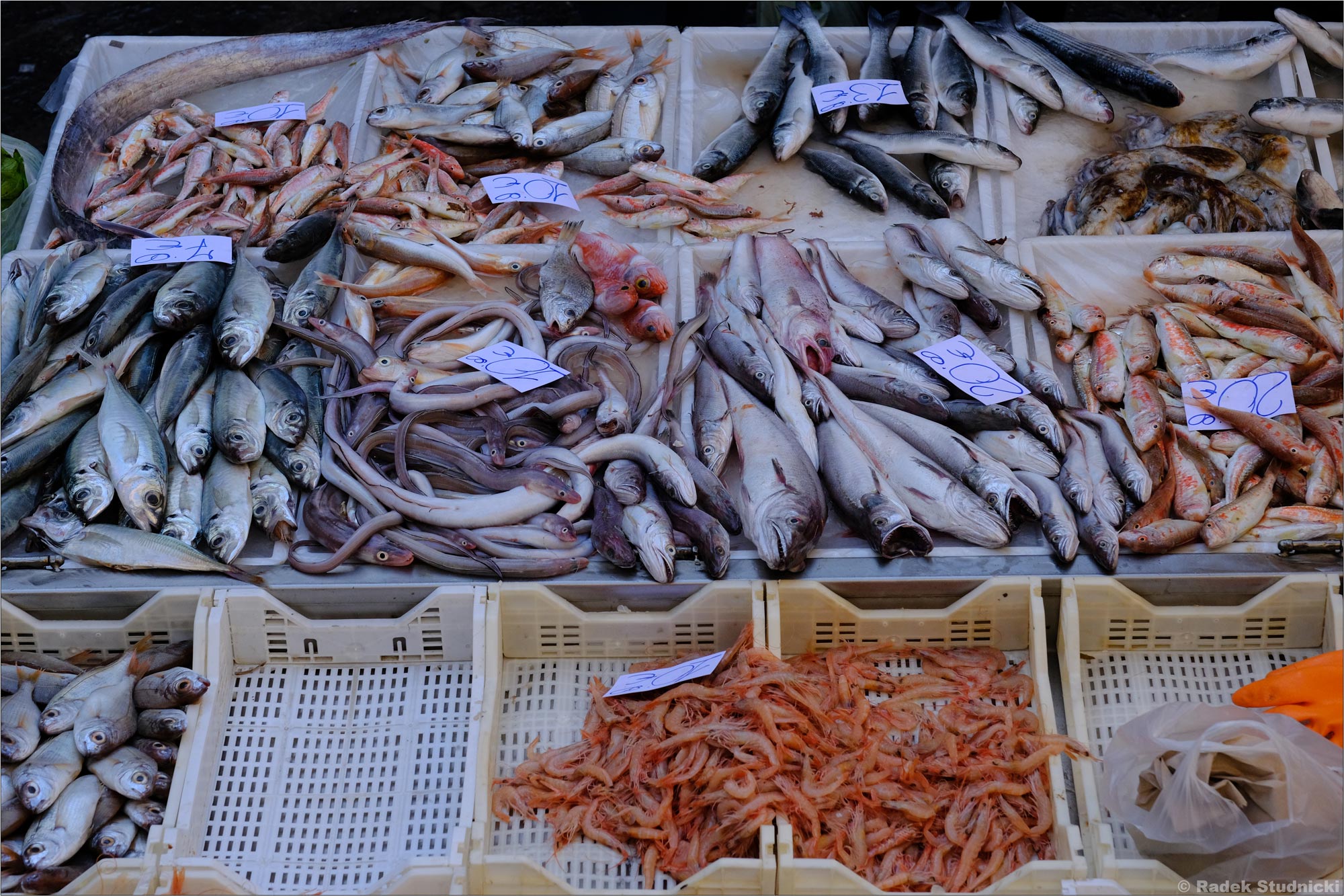 Katania: La Pescheria, czyli najlepszy targ rybny