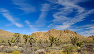 Mojave National Preserve