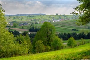 Widok z Bukowej Góry
