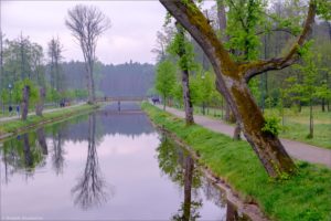 Zwierzyńczyk