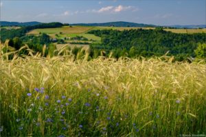 Bujne, Małopolska