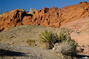 Red Rock Canyon