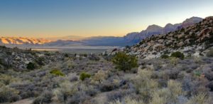 Red Rock Canyon koło Las Vegas