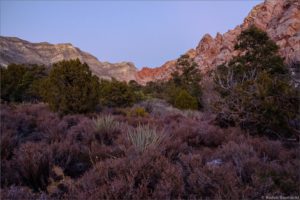 Red Rock Canyon nocą