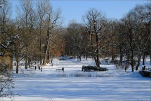 Park łazienkowski zimą