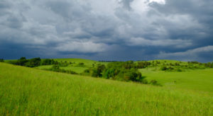 Rzepedka, Beskid Niski