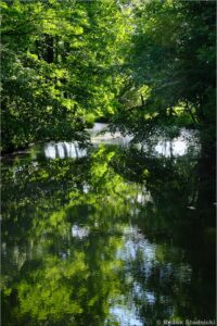 Park romantyczny Arkadia