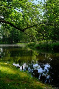 Park romantyczny Arkadia
