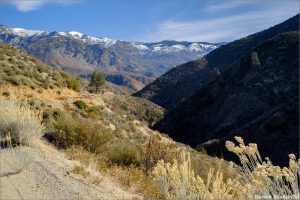 Sequoia National Forest